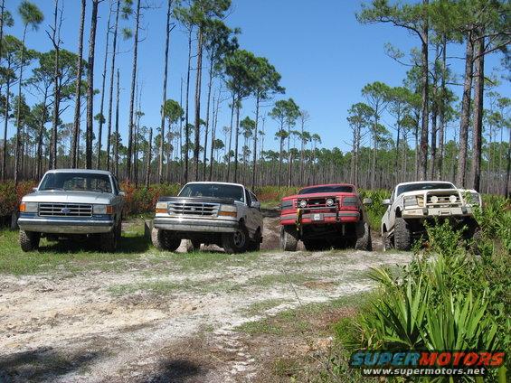 Four Ford trucks parked on a dirt road in a pine forest. The trucks appear to be from the early to mid-1990s