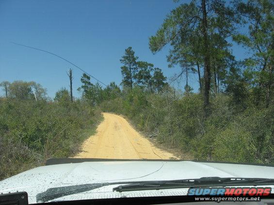 White vehicle hood and windshield with wipers, looking out at a dirt road through trees