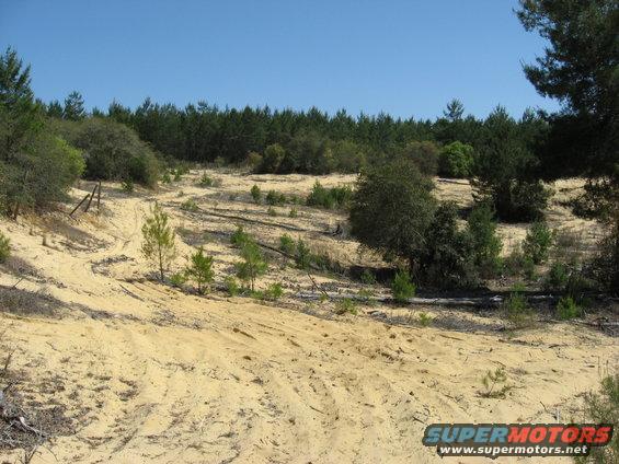 Sandy hills with scattered trees and a clear blue sky. Watermark reads SUPERMOTORS.NET