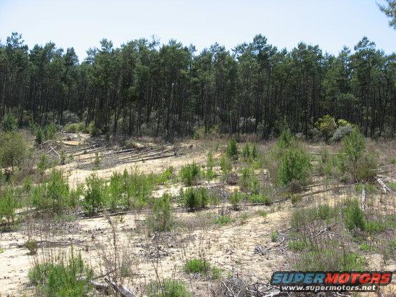 Sandy hillside with sparse vegetation and a dense forest in the background. Watermark reads SUPERMOTORS.NET