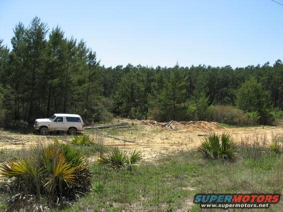 White 1994 Ford Bronco parked on dirt road with pine forest background