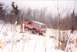 1995 Ford Bronco - MJ run 39.5's