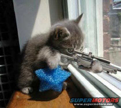 sniper.jpg 