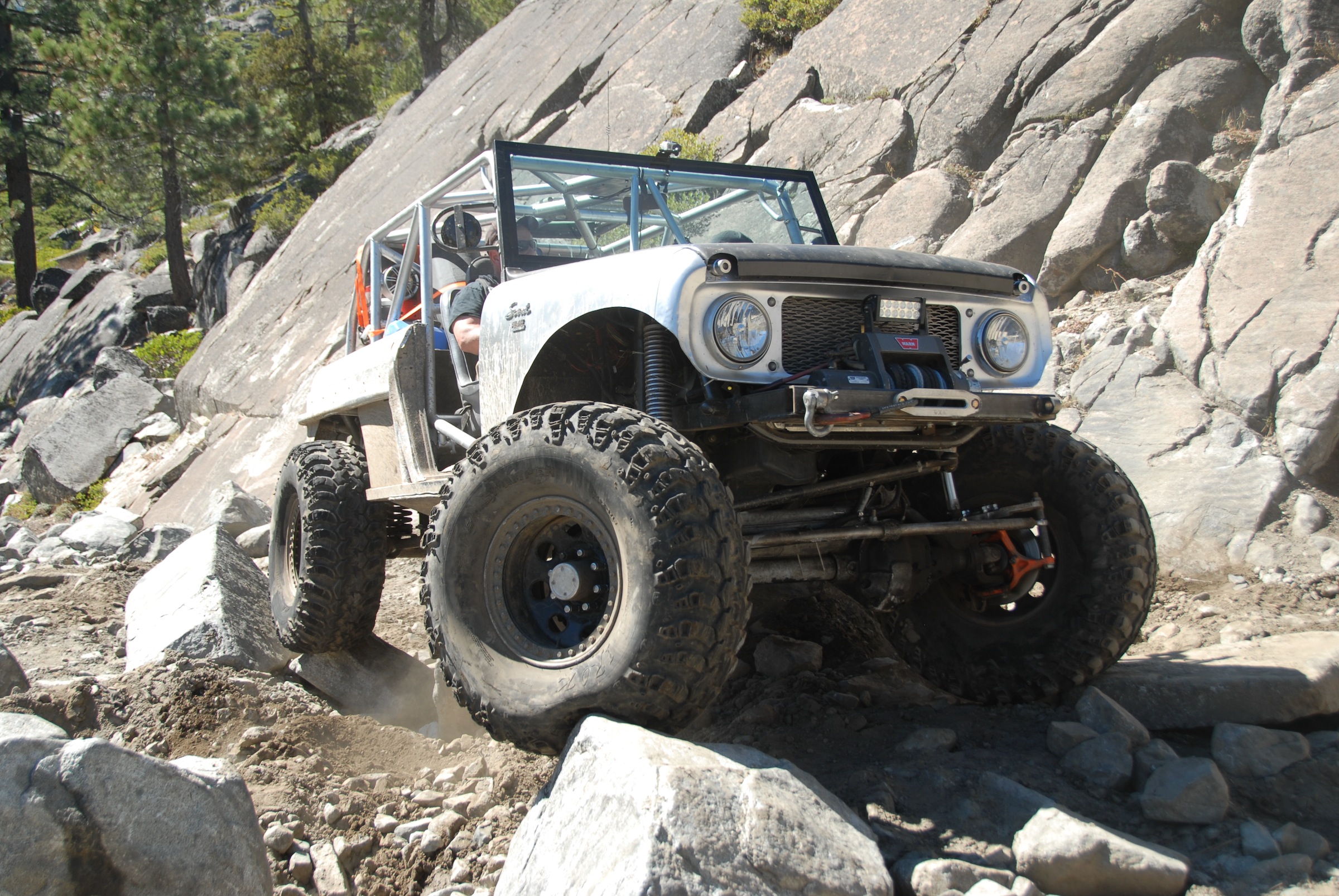 International Scout