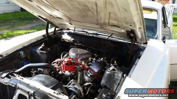 01313_e4imhzxbpyo_600x450.jpg 