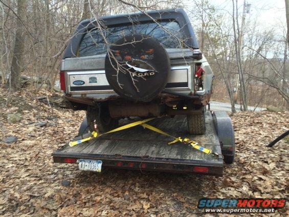 Gray Ford Bronco on a trailer, rear view. Spare tire on back, yellow straps securing it