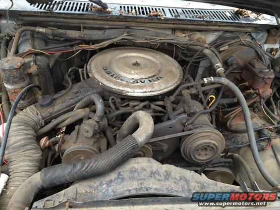 Engine bay of a 1986 Ford Bronco with 5.8L 4V V8 engine