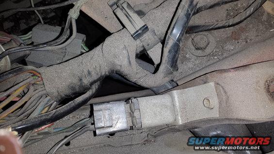 Close-up of a dusty vehicle wiring harness with gray connectors