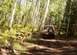 1990 Ford Bronco - A white Ford Bronco navigates a wooded trail, with a dog standing nearby.