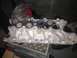 1987 Ford Bronco - Explorer Lower Intake
