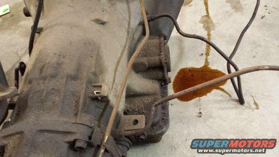 Transmission with oil leak