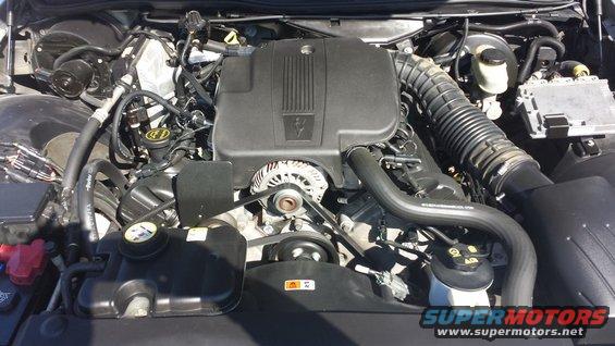 Engine bay of a 2005 Ford Crown Victoria, showing the V8 engine, alternator, and air intake system