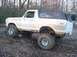 1979 Ford Bronco