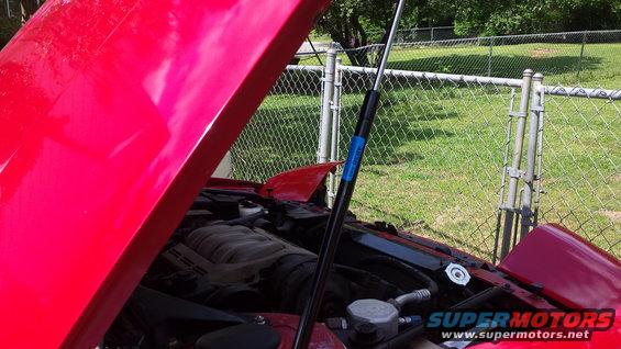 Red car hood open showing engine components and a gas strut with a blue label