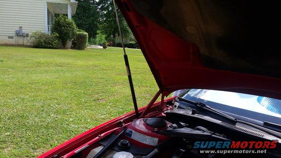 Red car engine bay with hood open, showing engine components and a grassy yard in the background