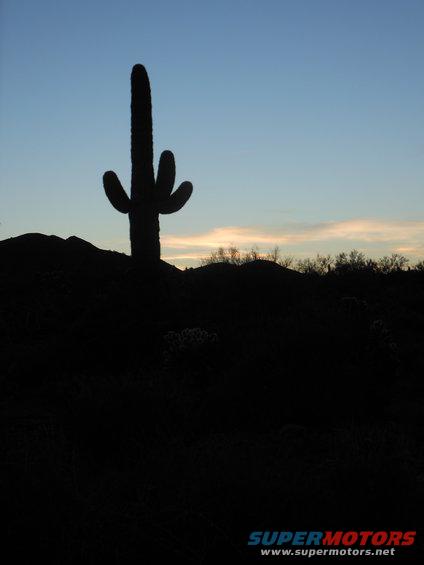 Saguaro cactus silhouette against a blue and orange sunset sky over dark hills