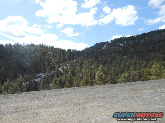 Dirt road in foreground, dense pine forest on a mountain slope under a cloudy blue sky