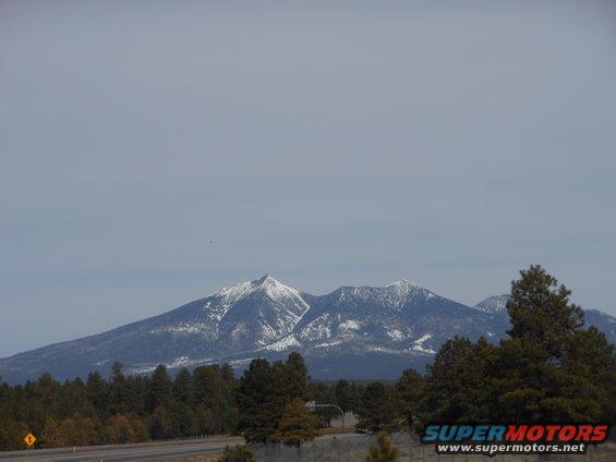 Snow-capped mountains rise above a forest with a road in the foreground