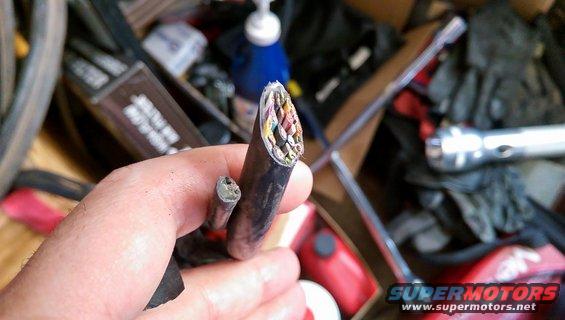 wtfbbqohmanohgod.jpg Factory CB ... cut