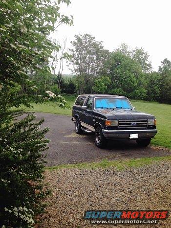 Project Dixieland Delight the day after I rescued her.  