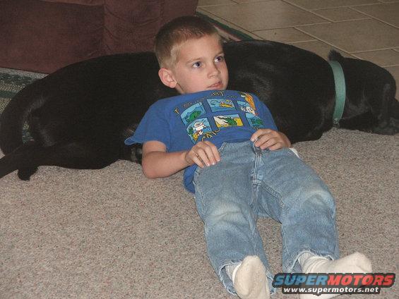 Boy in blue t-shirt and jeans sits on carpet next to a black dog. Supermotors.net logo in lower right