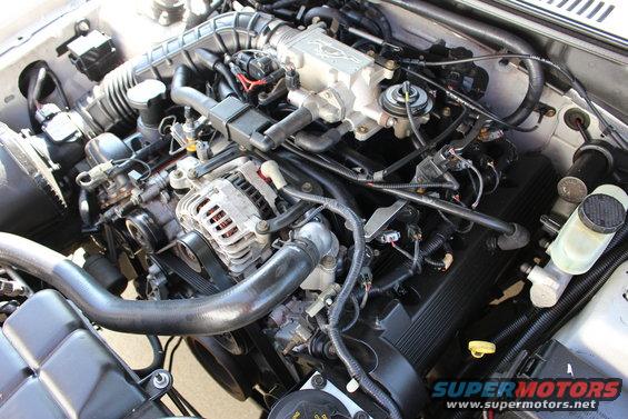Engine bay of a Ford Mustang. Shows alternator, intake manifold, and various hoses and wires