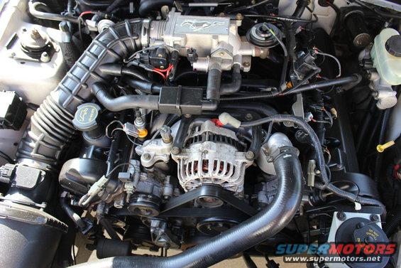 Engine bay of a 2002 Ford Mustang, showing the V8 engine with a running pony emblem on the intake manifold