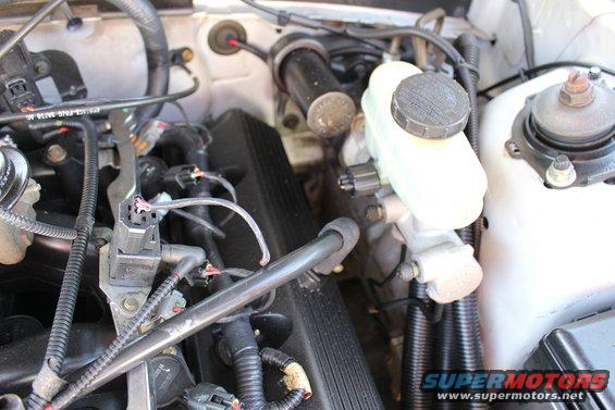 Close-up of engine bay with brake fluid reservoir, hoses, and wiring harnesses