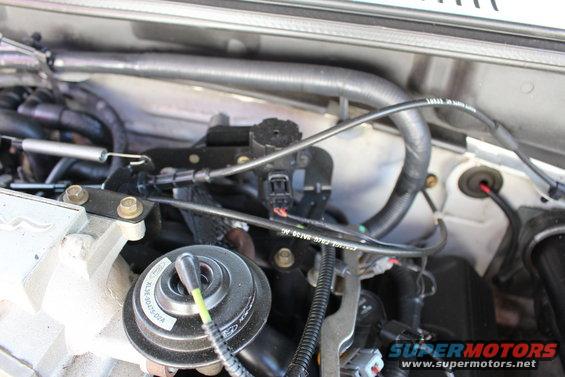 Engine bay with hoses, wires, and a circular component with text