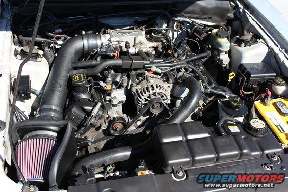 Engine bay with aftermarket intake and K&N filter. Shows alternator, belts, and fluid reservoirs