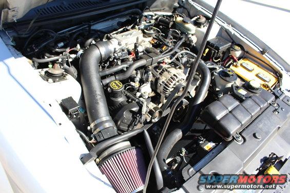 White 2002 Ford Mustang engine bay with aftermarket intake and filter