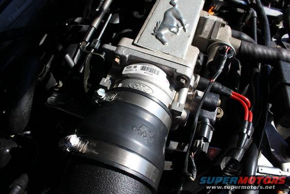 Close-up of a Ford throttle body with a Mustang emblem on top. K&N intake hose attached