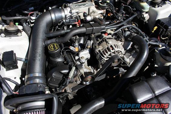 Engine bay with K&N intake and Ford Mustang valve cover