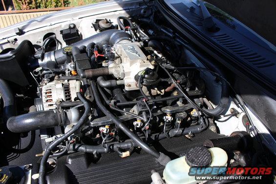 Engine bay with intake and throttle body
