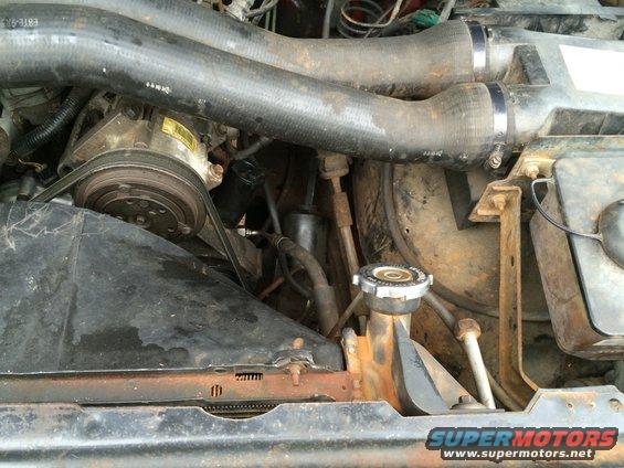 Engine bay with AC compressor, hoses, and radiator cap