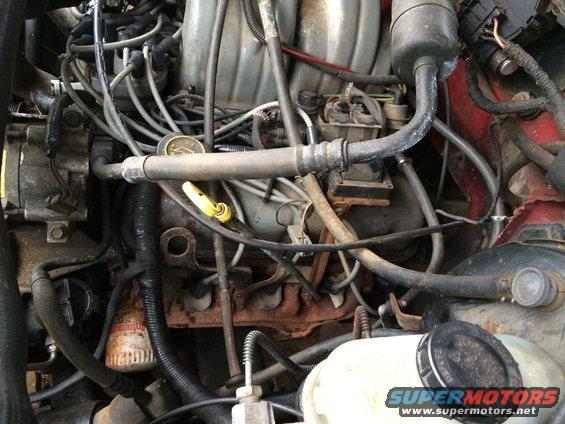 Engine bay detail showing oil filter, hoses, and wiring