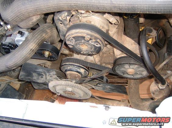 Engine bay with serpentine belt, pulleys, and fan clutch. Water pump is visible