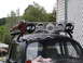 1964 Volkswagen Beetle - The vehicle is equipped with a roof rack multiple auxiliary lights and an FJ emblem.