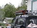 1964 Volkswagen Beetle - A 1964 Volkswagen Beetle is equipped with a roof rack holding a Hi-Lift jack and auxiliary lights.