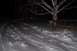 1988 Chevrolet Silverado 2500 - A dog stands tethered to a tree in a snowy landscape at night.