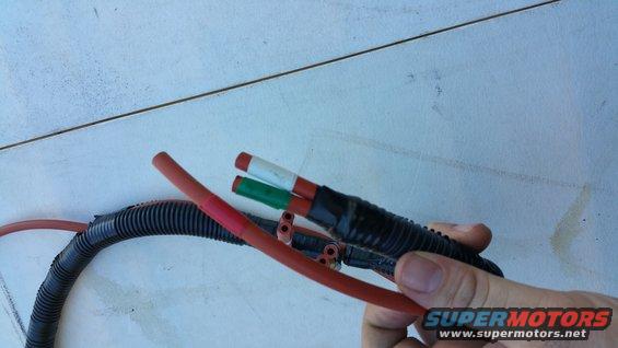 Hand holding a section of black corrugated automotive wiring harness with red and green wires exposed