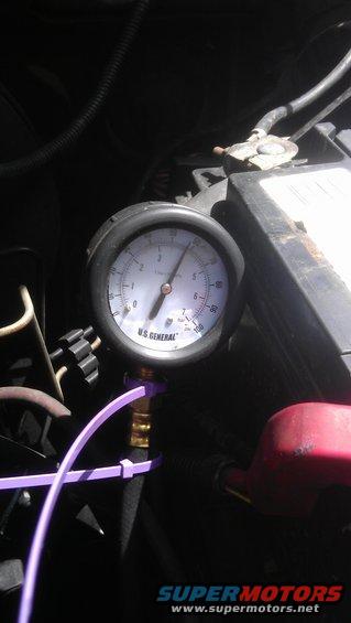 imag0960.jpg