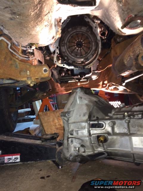 2003 Ford Ranger photo