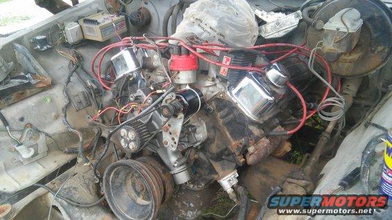 V8 engine with chrome valve covers and red spark plug wires in an engine bay