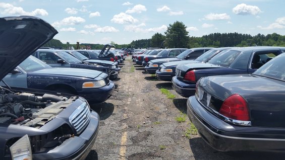 20150625_113014.jpg