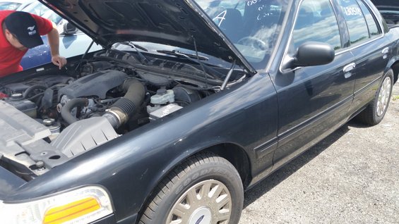 20150625_113528.jpg