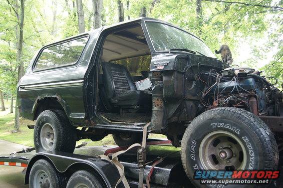 1979 Ford Bronco on trailer, front clip removed, engine exposed. Cat on hood