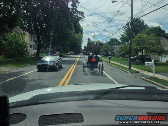 Horse-drawn buggy with two people in it driving down a suburban road, with a dark sedan in the oncoming lane