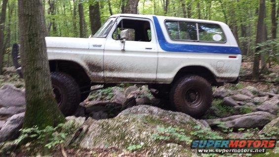 White Ford Bronco with blue stripe on its side, navigating rocks on a wooded trail