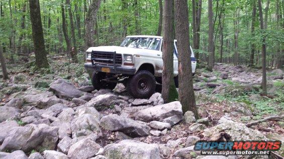White 1978 Ford Bronco on rocky forest trail